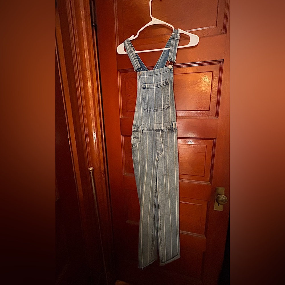 Pacsun Blue Striped Denim Overalls